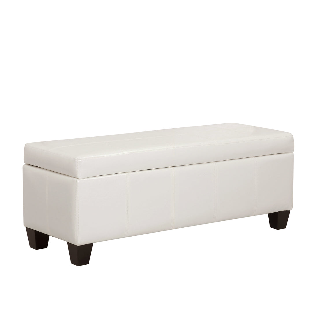 Jake 42" Inch Faux Leather Storage Ottoman Bench