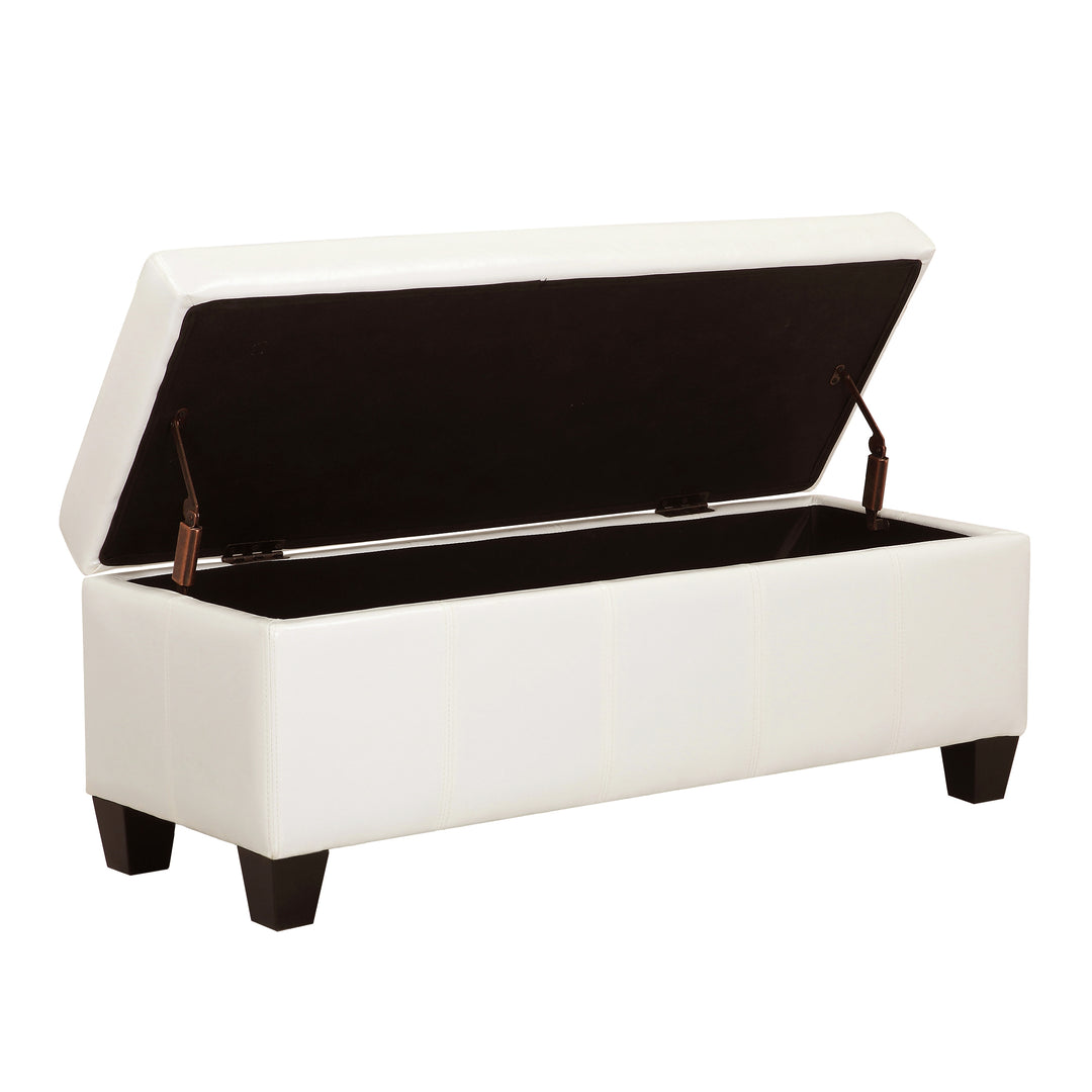 Jake 42" Inch Faux Leather Storage Ottoman Bench