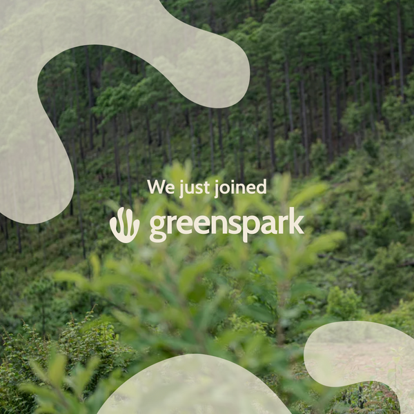 Celebrate Earth Day with WestinTrends: Sustainable Choices for a Greener Future!