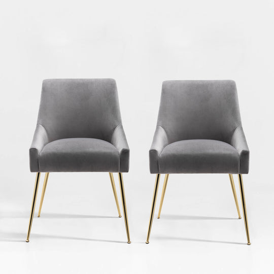 Carlo Upholstered Velvet Accent Chair (Set of 2)